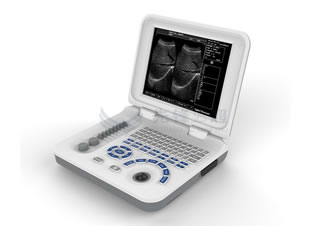 XF30 LED Laptop VET Ultrasound Scanner