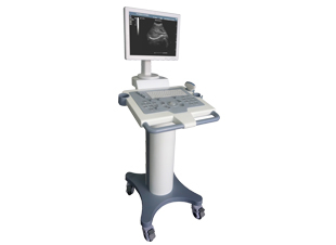 E110  Ultrasonic Diagnostic Imaging System