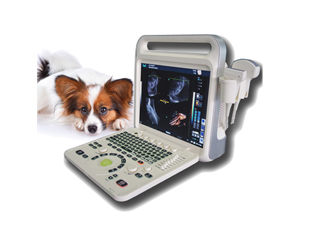 XF3600V Clolor Doppler Ultrasound