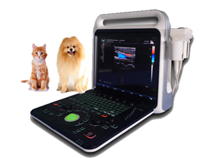 XF3800V Pet color Doppler Ultrasound